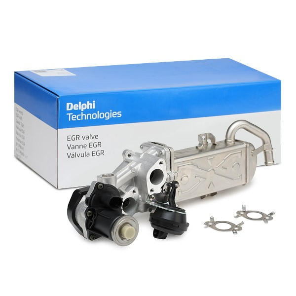 Volkswagen Polo 1.4 TDI Egr Valfi Komple DELPHI