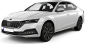 OCTAVIA (MK4) 2019-