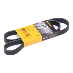 Volkswagen Transporter T5 1.9 TDI V Kayışı CONTINENTAL