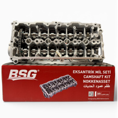 Citroen C4 Cactus 1.5 BlueHDI Eksantrik Mili Takımı Set 8mm Zincir BSG