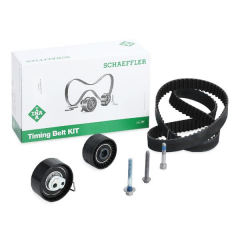 Citroen C4 1.6 Benzinli Triger Seti INA